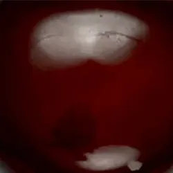 tratat-1.webp